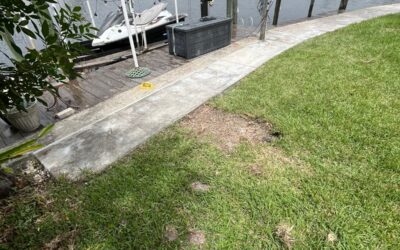 Stop Water Damage Fast: Seawall Leak Repair for Coastal Florida Homes