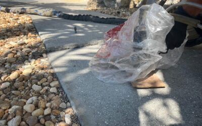 Concrete Lifting in Florida: How Polyurethane Foam Restores Your Surfaces