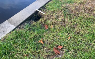 How Hurricanes Impact Seawalls in Fort Myers (And What You Can Do)