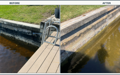 Is Water Washing Away the Soil Behind Your Seawall?